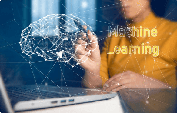 How Machine Learning Models Learn: An Intuitive Guide for Beginners